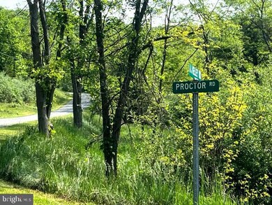 0 Proctor Rd unit WVHS2003342, Purgitsville, WV 26852 - photo 5
