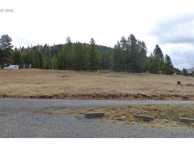 0 E Tabor, Granite, OR 97877 - photo 6