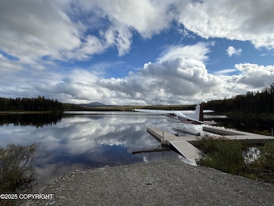 21535 E Quarah Lake Ave, Talkeetna, AK 99676 - photo 3
