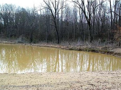 pond