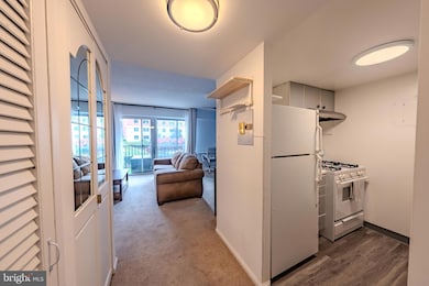 The Horizon House unit 118, Arlington, VA 22202 - photo 4