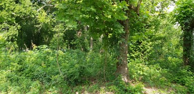 0000 Hoffman, Houston, TX 77028 - photo 4