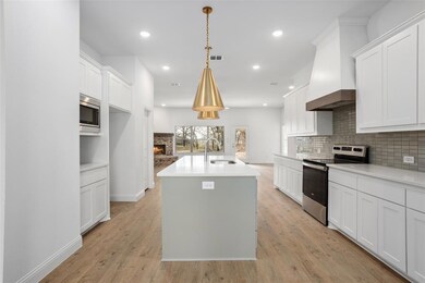 121 Tobiano Trace, Brock, TX 76087 - photo 6