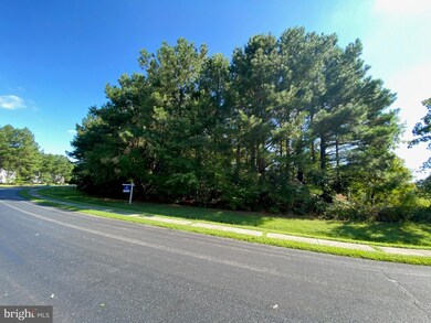 24572 Beaver Way, Georgetown, DE 19947 - photo 3