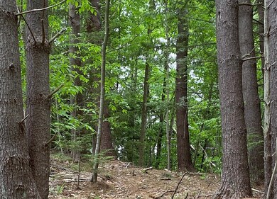 unlisted-address, Conway, MA 01341 - photo 2