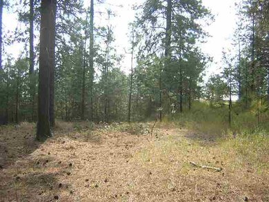 0 W Akers Ln, Colbert, WA 99005 - photo 2