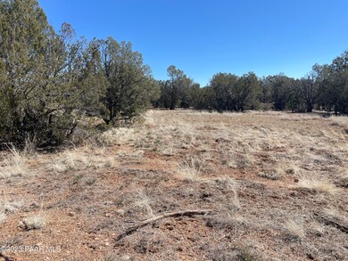 00 Stockmans Rd, Ash Fork, AZ 86320 - photo 2