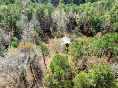 00 Cr 2237, Bagwell, TX 75426 - photo 5