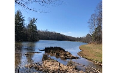 0 Hefner Lake Rd 16+ac, East Ellijay, GA 30536 - photo 2