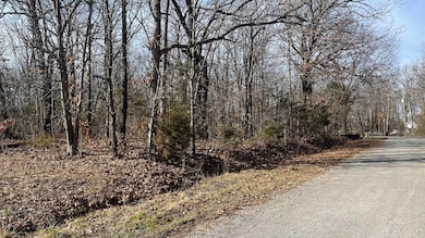 000 E 400th Rd, Bolivar, MO 65613 - photo 3