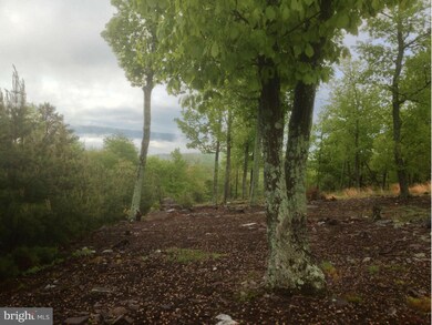 409 Jura Dr, Hedgesville, WV 25427 - photo 3