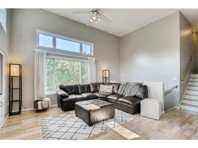 Main level living room. Ton of natural light!