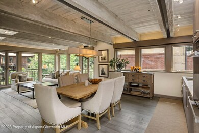 525 S Original St unit F, Aspen, CO 81611 - photo 7