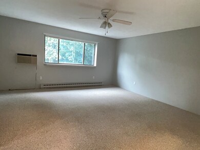 Milliken Hills Condominiums unit 22, Franklin, MA 02038 - photo 3