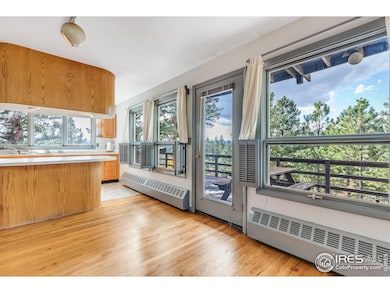 5566 Sugarloaf Rd, Boulder, CO 80302 - photo 7