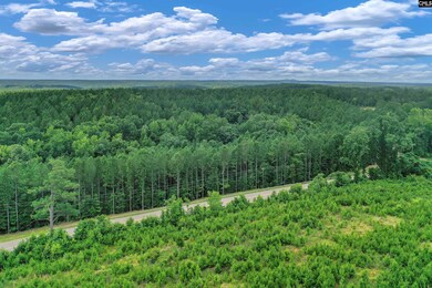 0000 S Carolina 215 unit 9, Jenkinsville, SC 29065 - photo 7