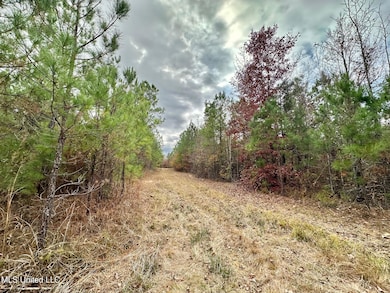 2 County Road 3122, McCool, MS 39108 - photo 4