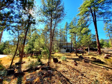 6871 W Brokaw Ln, Pine, AZ 85544 - photo 5