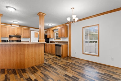 Kitchen with dishwasher, dark wood-type flooring, under cabinet range hood, light countertops, and range