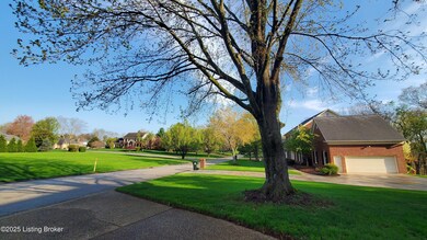 Bit of the neighborhood