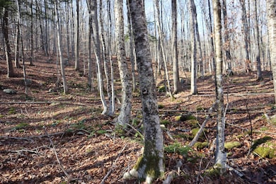 423 Hadley Rd, Stony Creek, NY 12878 - photo 5