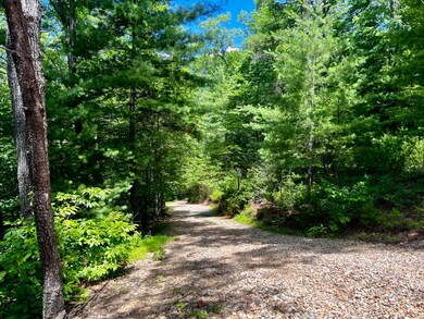 1272 Peach Orchard Way, Del Rio, TN 37727 - photo 6