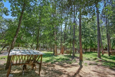 5049 Stephen Colee Rd, Saint Augustine, FL 32092 - photo 7