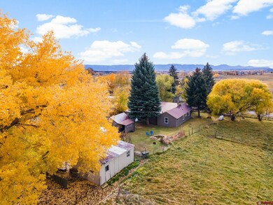 21855 Road S, Cortez, CO 81321 - photo 6