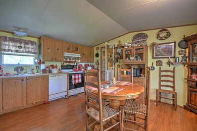 1735 Old Mountain Rd, Greeneville, TN 37743 - photo 3