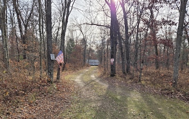 4141 E Jost Dr, Luther, MI 49656 - photo 5