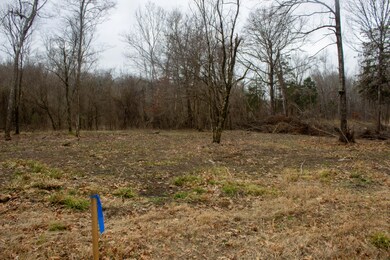 13 Clisby Rd, West Point, MS 39773 - photo 7