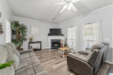 716 3rd St NE, Alabaster, AL 35007 - photo 6