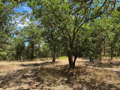 11400 Blackwell Rd, Central Point, OR 97502 - photo 5