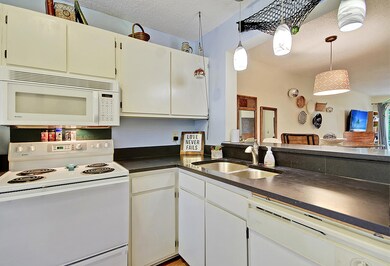 IMG_0902_IMG_0910 copy