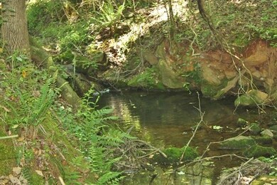 00 Old Station Rd, West Union, SC 29696 - photo 2