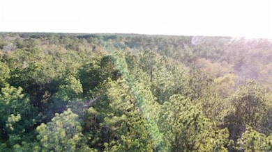 2700 County Road 443, Magnolia Springs, TX 75956 - photo 7