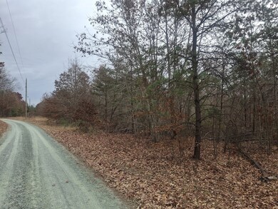 0 0 Indian Pipe Run, Palmyra, VA 22963 - photo 5