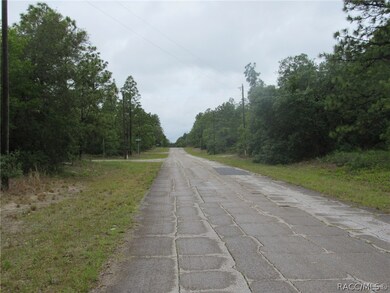 3324 W Wilhelm St, Citrus Springs, FL 34433 - photo 3