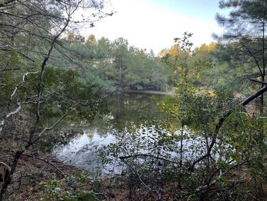 60 Les Hammond Rd, Tylertown, MS 39667 - photo 6