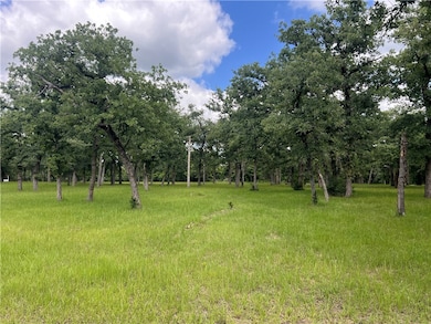 Lot 570 Deer Ledge Dr, Beaver Creek, TX 77836 - photo 4