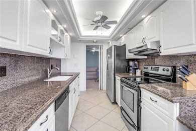 Kitchen featuring stainless steel appliances, a ceiling fan, a tray ceiling, under cabinet range hood, and dark stone counters