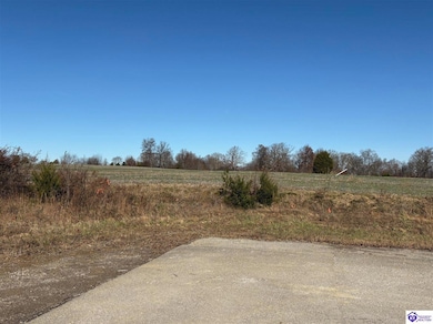 245 Owl Creek Dr, Vine Grove, KY 40175 - photo 2