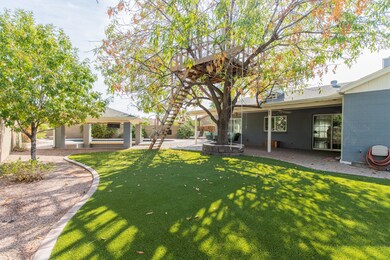 2308 W Palomino Dr, Chandler, AZ 85224 - photo 5