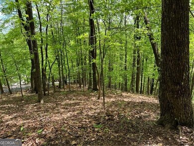 View of local wilderness featuring a wooded view