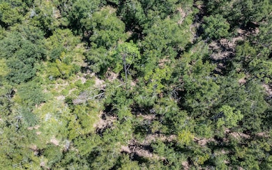 TBD 145th Rd, McAlpin, FL 32062 - photo 2