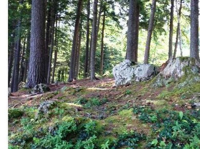 Lot 6 Grayland Rd, Bridgton, ME 04009 - photo 4