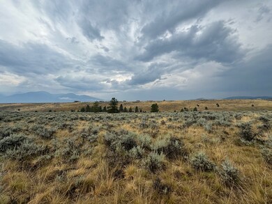 626 Willy Way, Stevensville, MT 59870 - photo 5