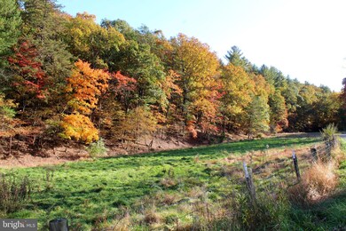 63 +/- Acres Off Needmore Rd, Baker, WV 26801 - photo 6
