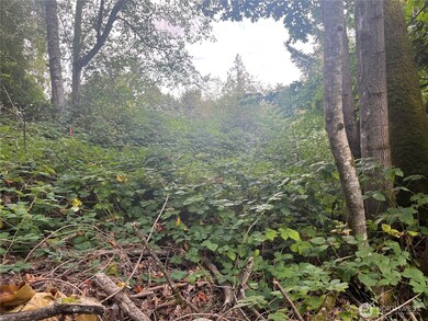 4610 Hemlock Ln NW, Gig Harbor, WA 98335 - photo 4