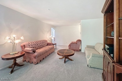 146 Riveredge Dr, Chatham, NJ 07928 - photo 7